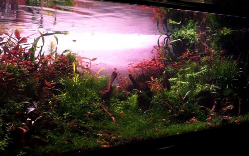 20141021_192535 kopia.jpg