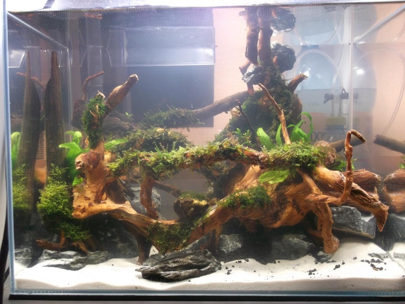 DSCF1319.jpg