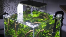 15l - Nano LED