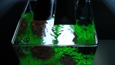 31l - Nano Cube