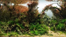 360l - October Twillight - Piotr Dymowski