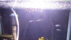 Kostka 30l led nawożenie