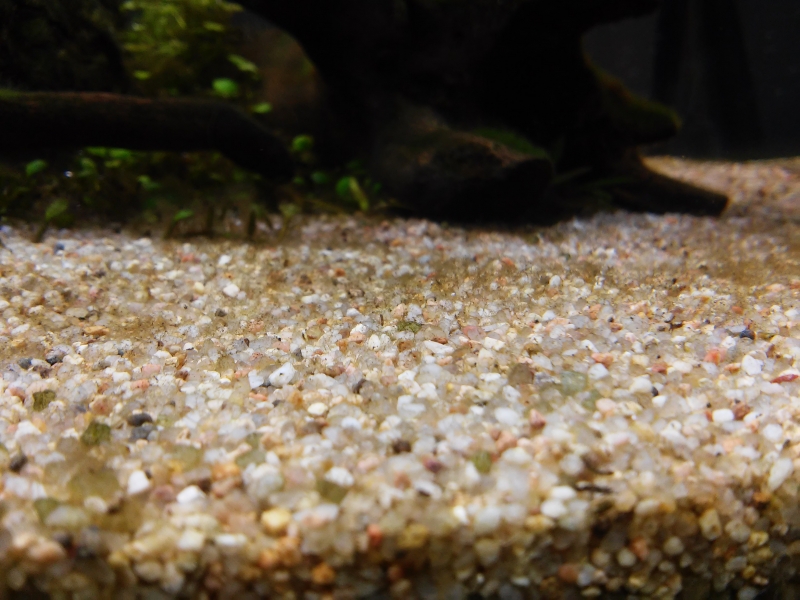 20141102_215334.jpg