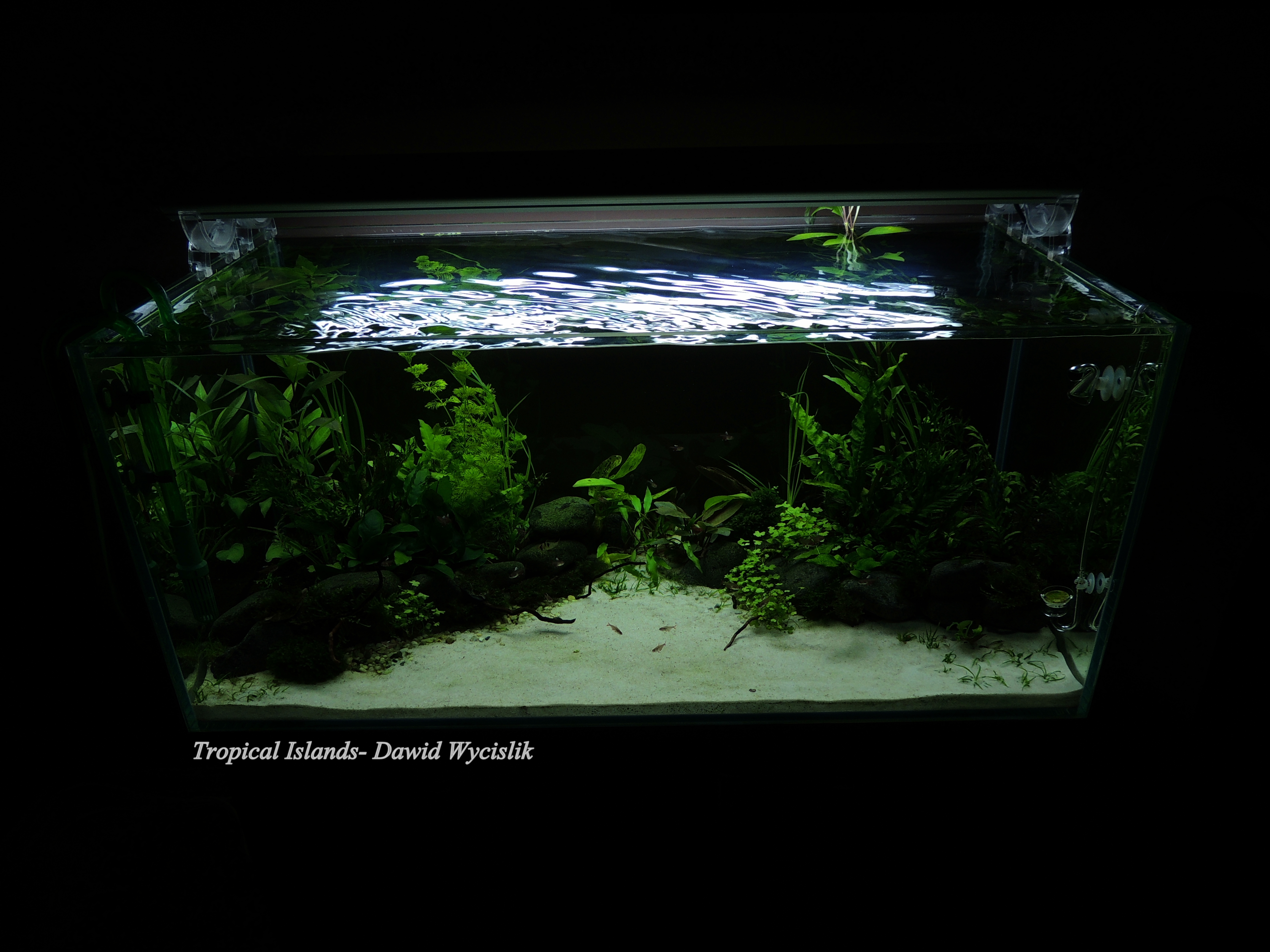 225L0311.jpg