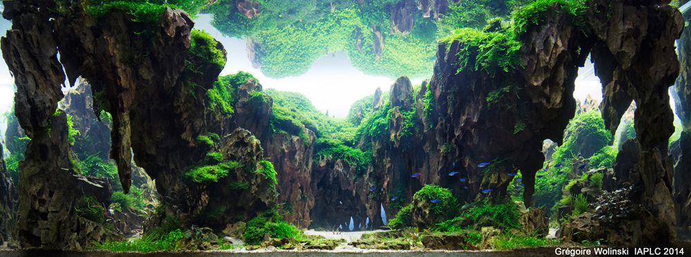 Passage-GW-IAPLC-2014-copy.jpg