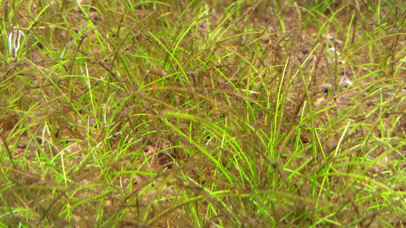 20141111_143021.jpg