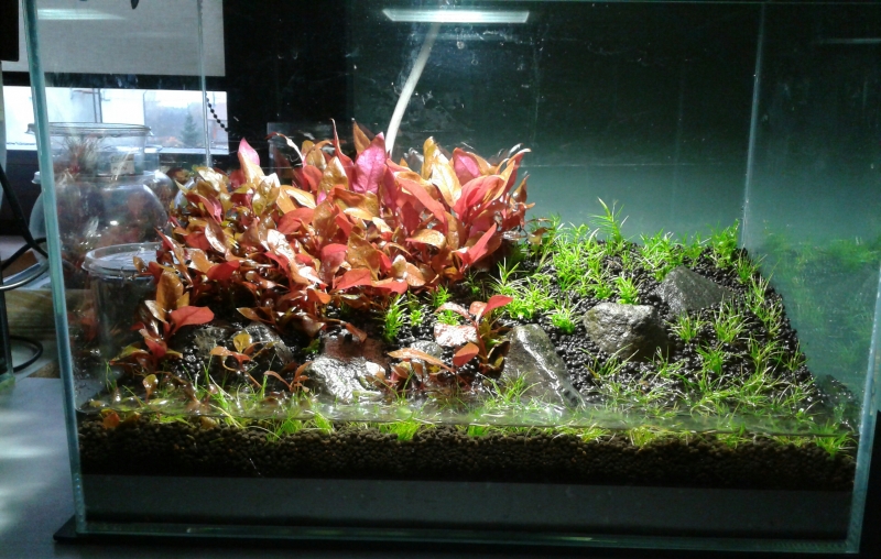 2014-11-09 08.14.07-1.jpg