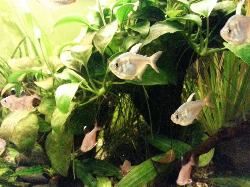 20141111_200500.jpg
