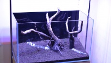 63l - Red Pass