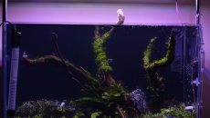 63l - Red Pass