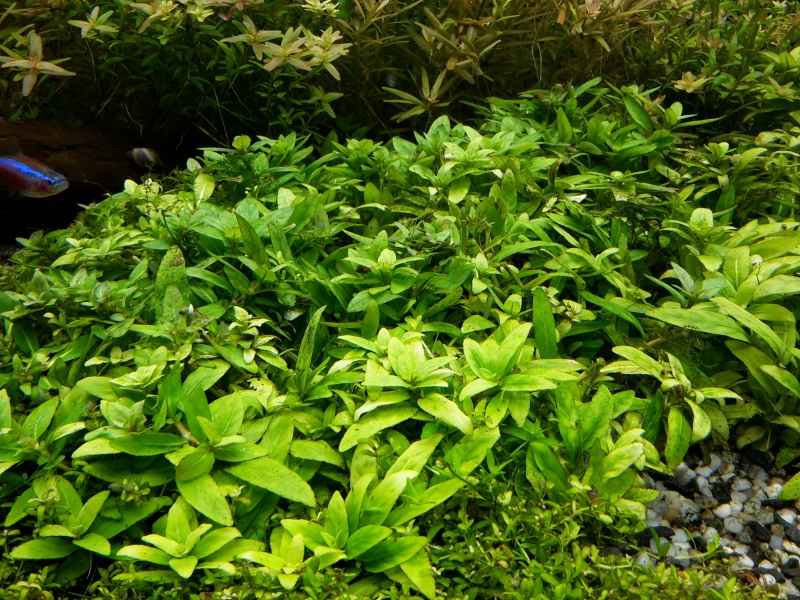 20141117_163859.jpg
