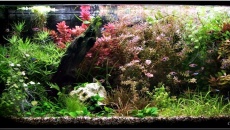 200l - TomaszK