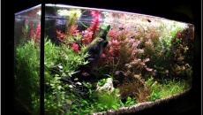 200l - TomaszK