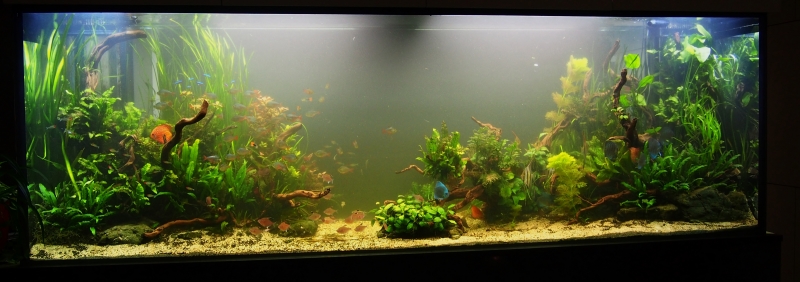 P1010024.JPG