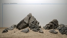Hardscape Day - 22 listopada