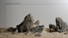 Hardscape Day - 22 listopada