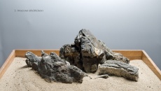 Hardscape Day - 22 listopada