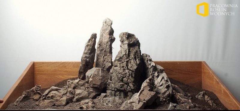 1_1_Hardscape_Day_Pracownia_Roslin_Wodnych.jpg