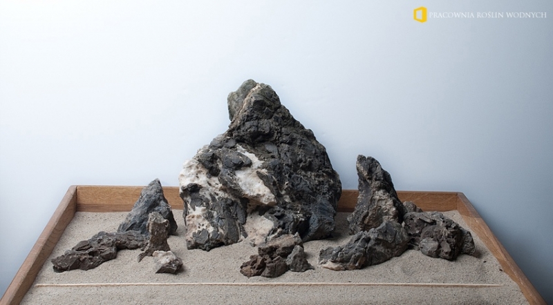 1_Hardscape_Day_Live_Pracownia_Roslin_Wodnych.jpg