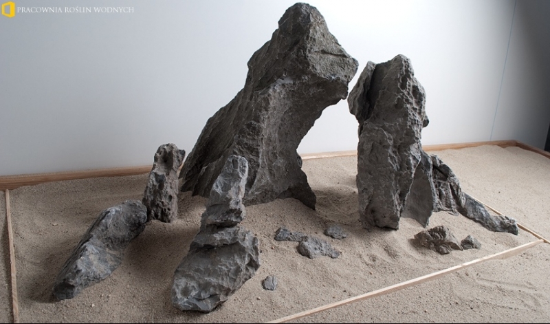 4_1_Hardscape_Day_Live_Pracownia_Roslin_Wodnych.jpg