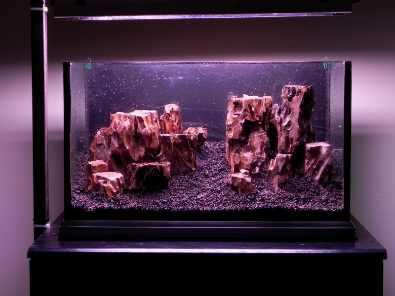 DSCN5592.jpg