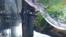 (DIY) skimmer z filtra kaskadowego