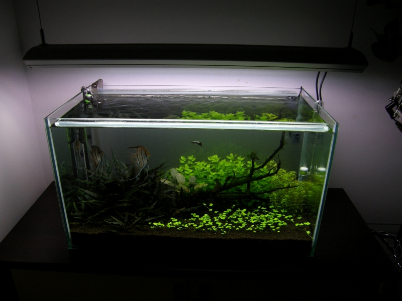 lampa  4aqua nad zbiornikiem 144l..JPG