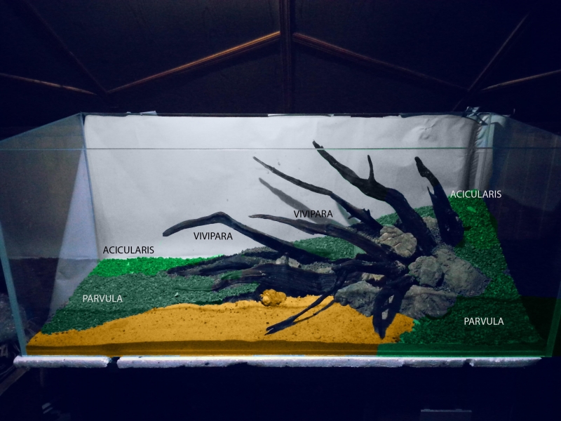 new hardscape2.jpg