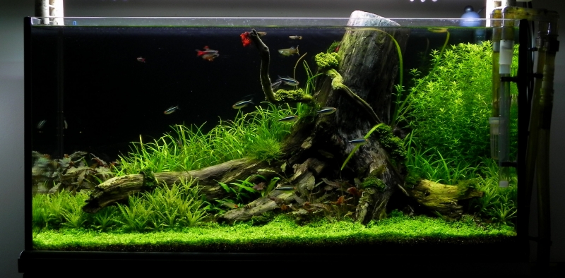 DSCN6089.jpg