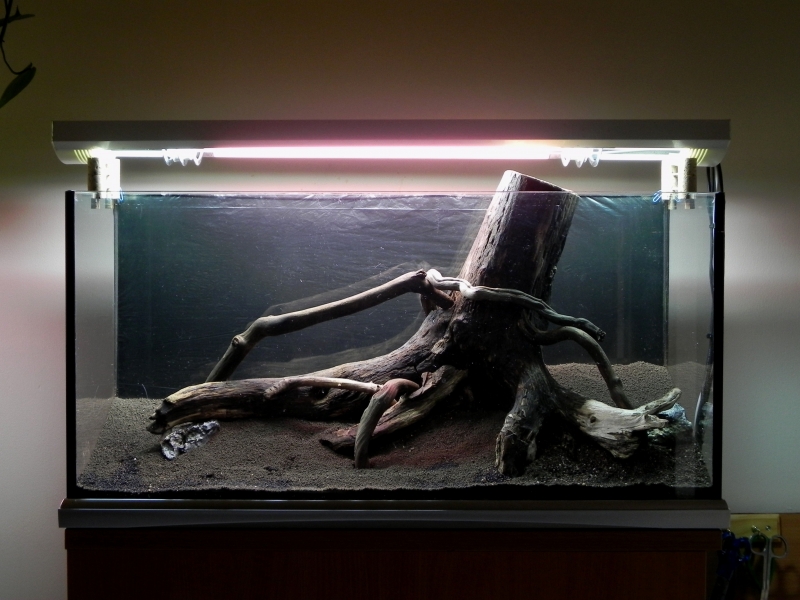 DSCN5500.jpg