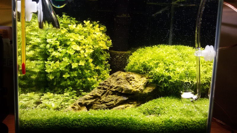 20141217_215012.jpg