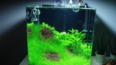 31l - Nano Cube