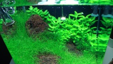 31l - Nano Cube