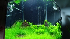 31l - Nano Cube