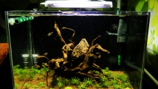 80l - Made in Asia