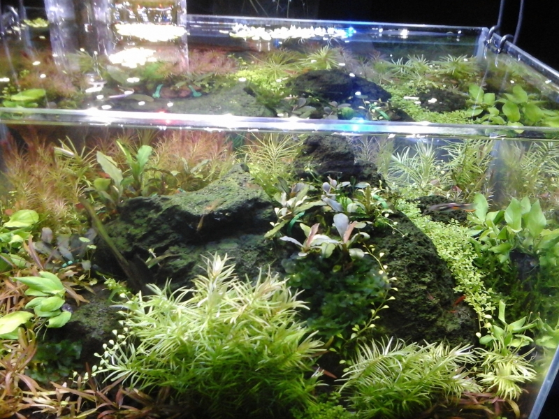 20141215_004548.jpg