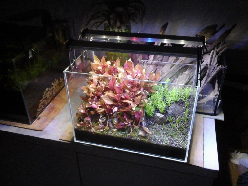 20141225_082105.jpg