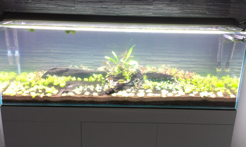 IMAG0536.jpg