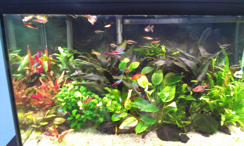 IMAG0321.jpg