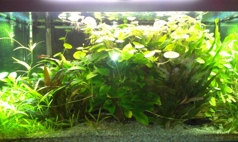 IMAG0123.jpg
