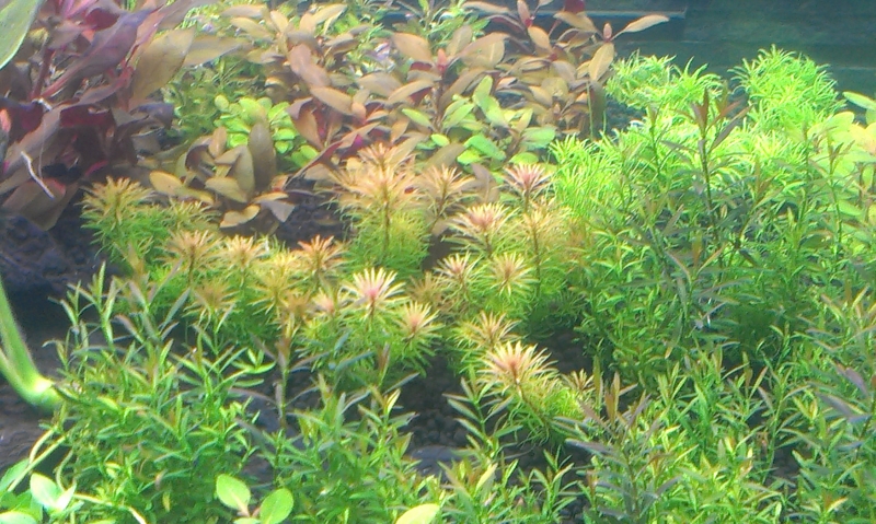 IMAG0546.jpg