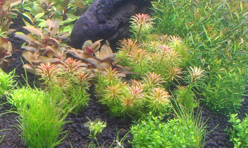 IMAG0547.jpg