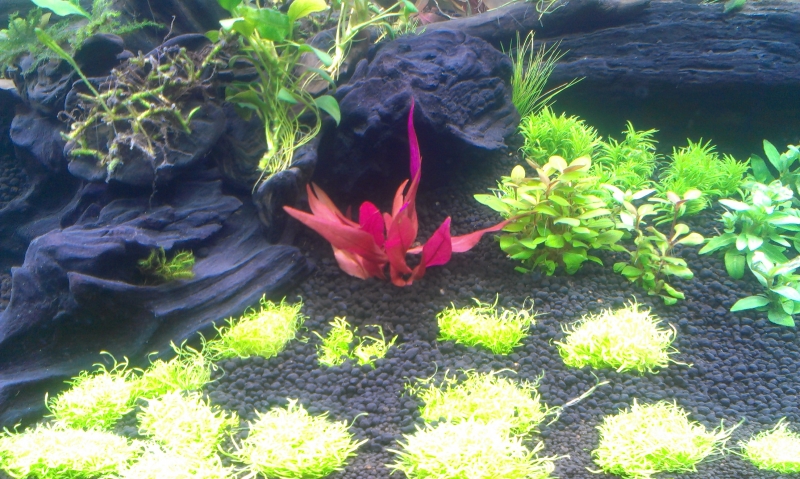 IMAG0551.jpg