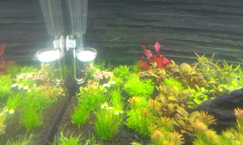 IMAG0555.jpg