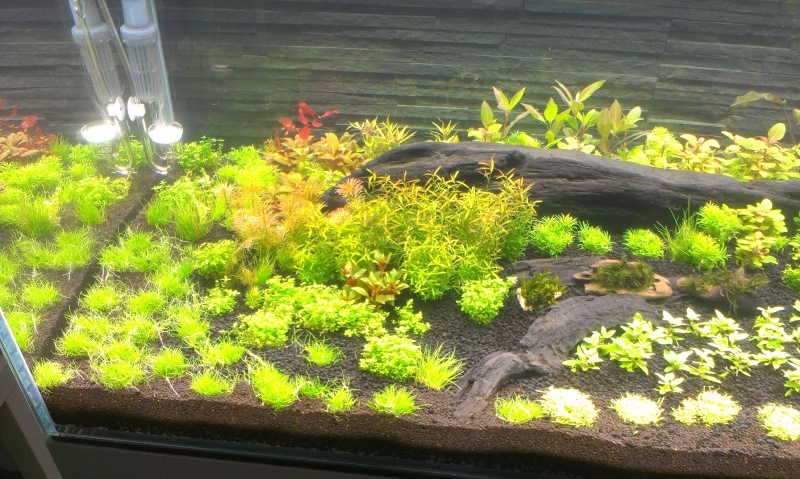 IMAG0562.jpg