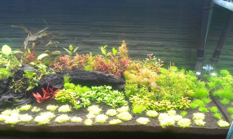 IMAG0563.jpg