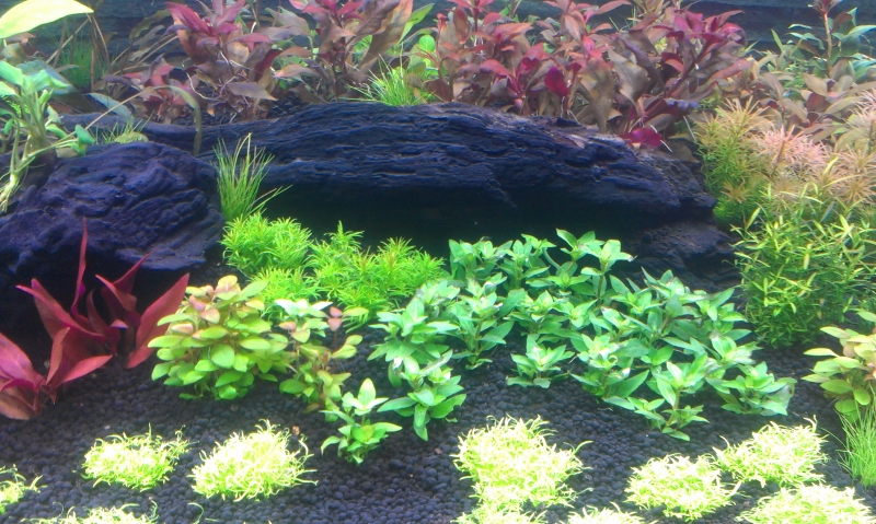 IMAG0567.jpg