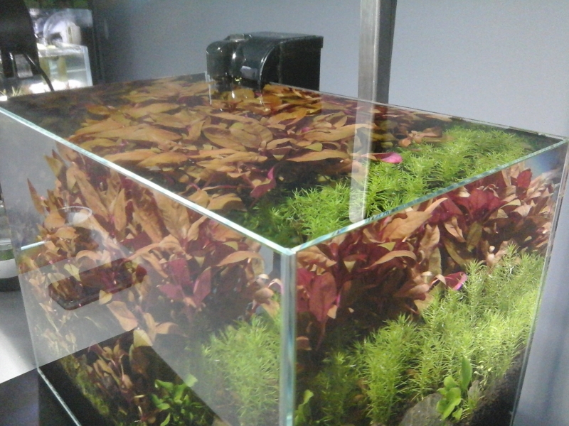 20150101_151445.jpg