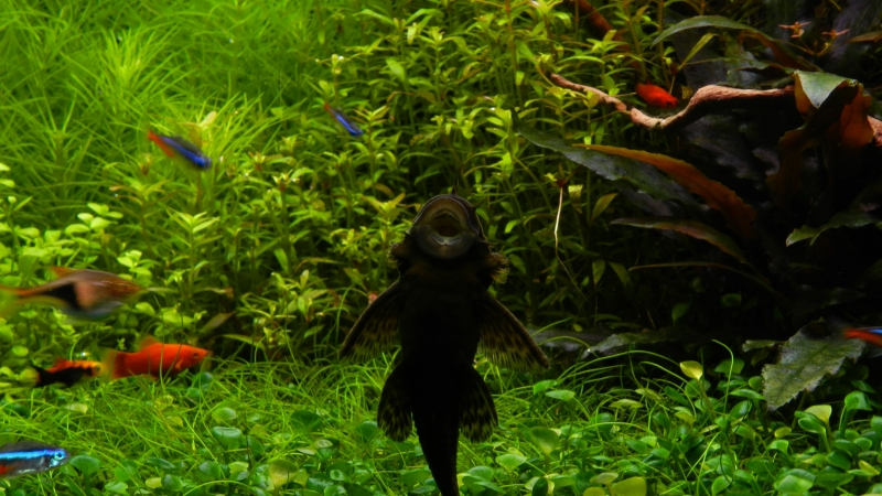 DSCN6234.JPG