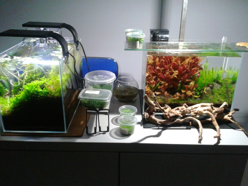 2015-01-07 22.41.59.jpg